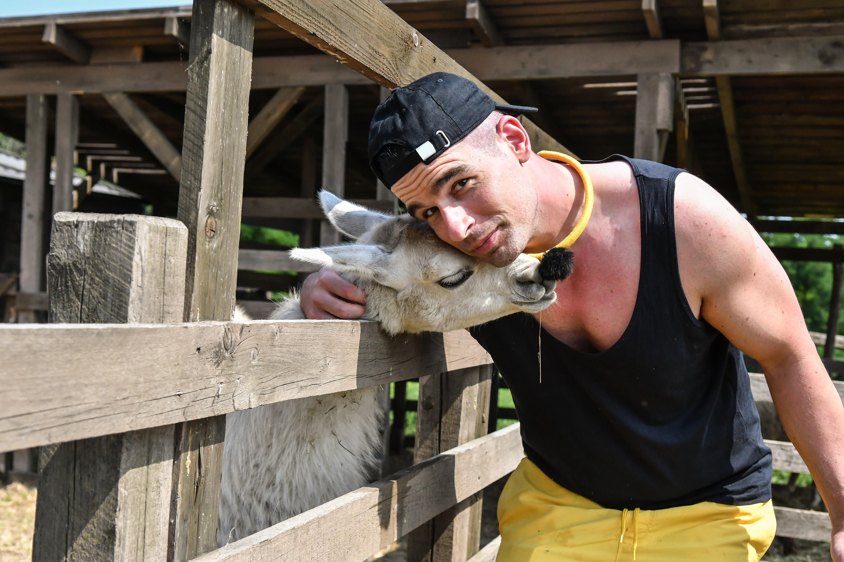 Lakatos Levente Farm VIP