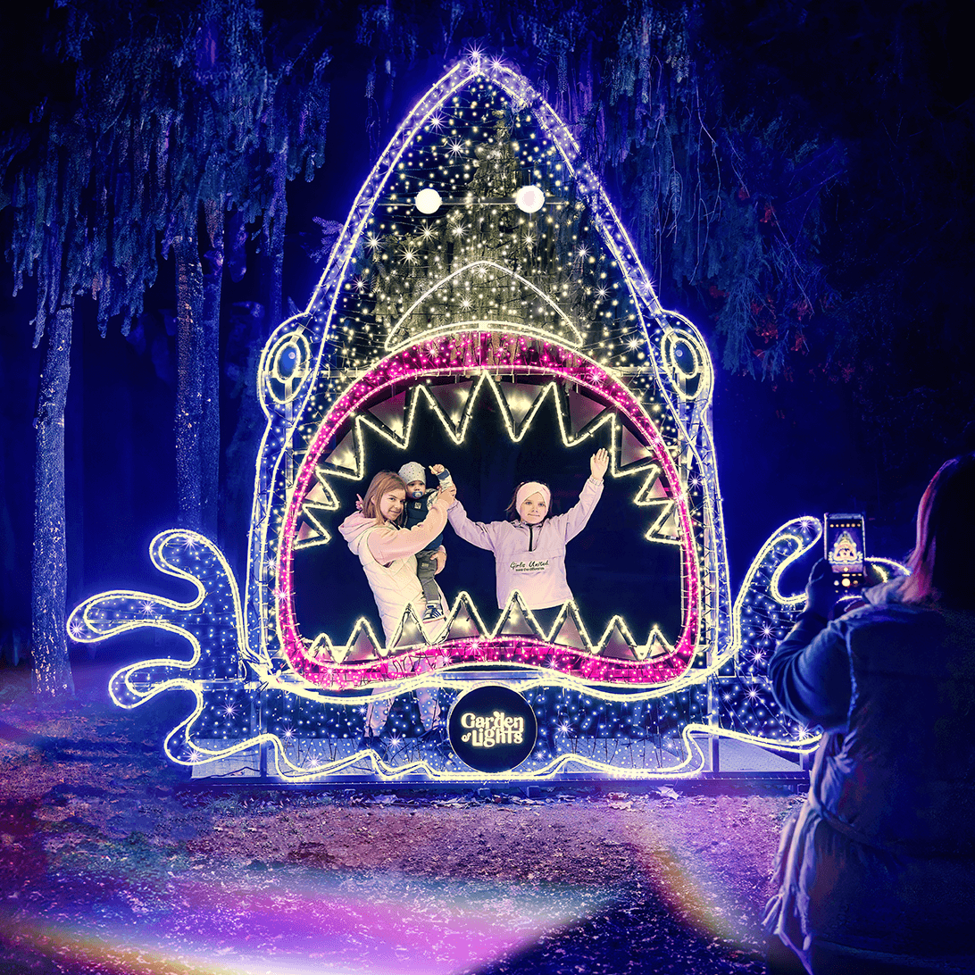 Garden of Lights – kedvezményes családi belépők Advent alkalmából!
