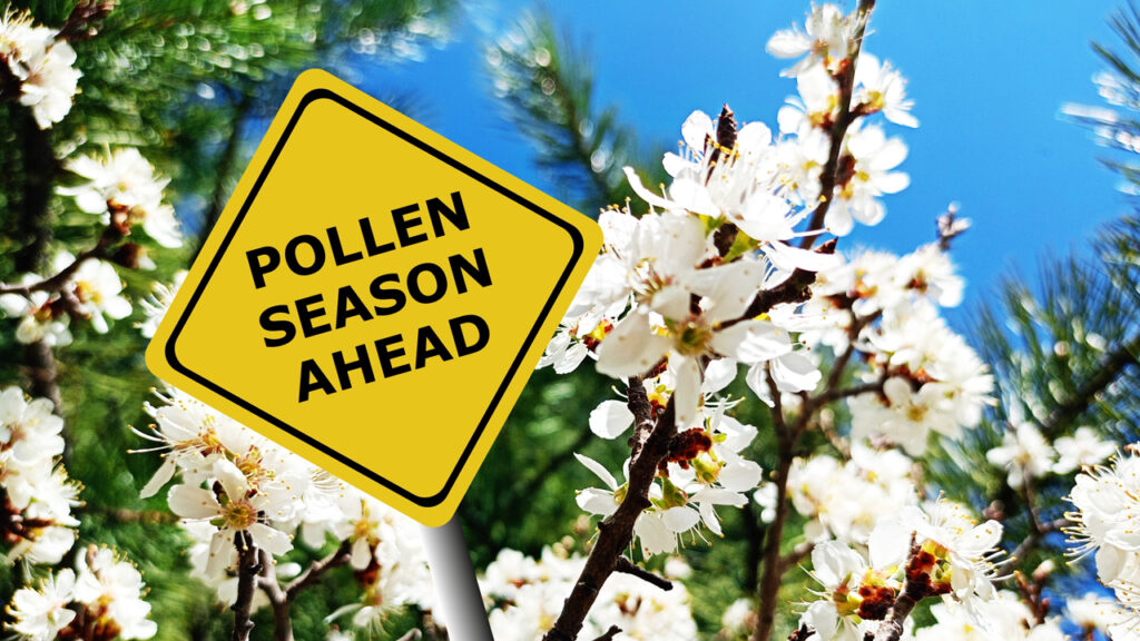 Itt az allergiaszezon: zsebben a segítség (x)