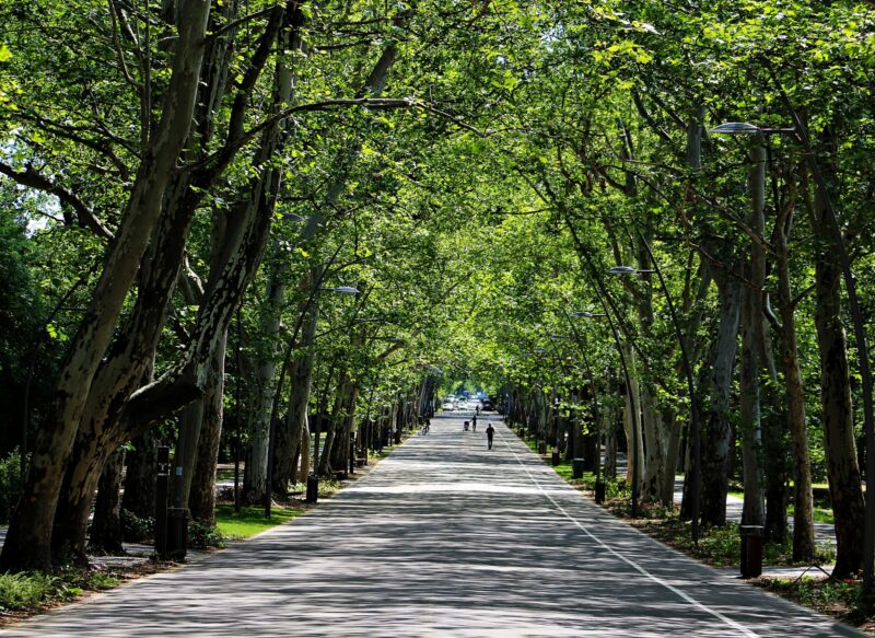 Boldog egyetemi évek? ‒ Szegeden minden adott hozzá!