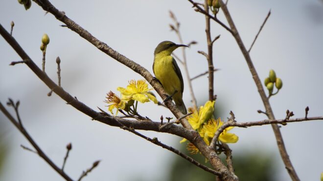 Rekordmeleget mértek ma itthon