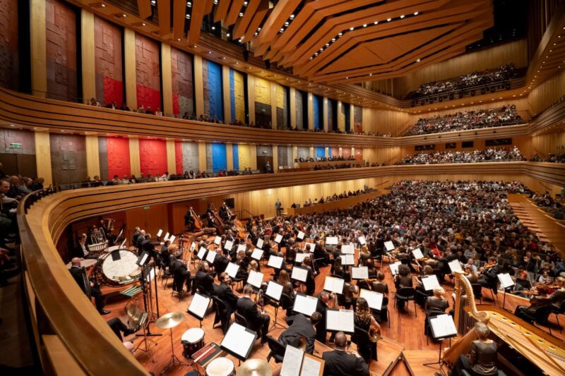 Koncertteremben ülve, zenehallgatás közben is tudsz fát ültetni