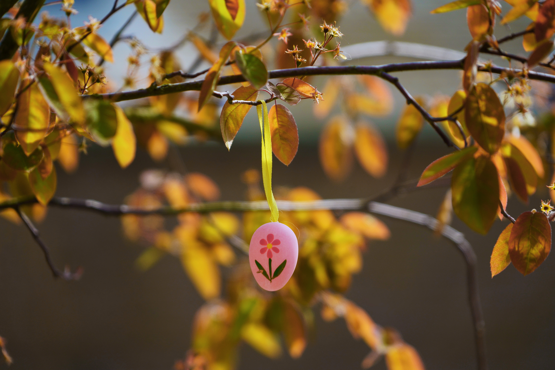 Húsvéti tojás lóg a fán