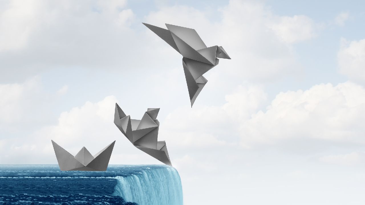 Papírhajóból papírmadár, alkalmazkodás