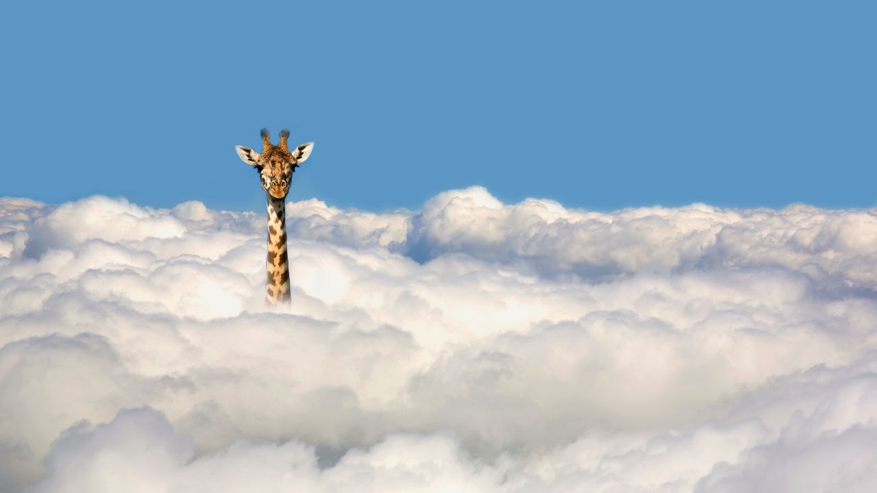 Zsiráf kidugja a fejét a felhők fölé