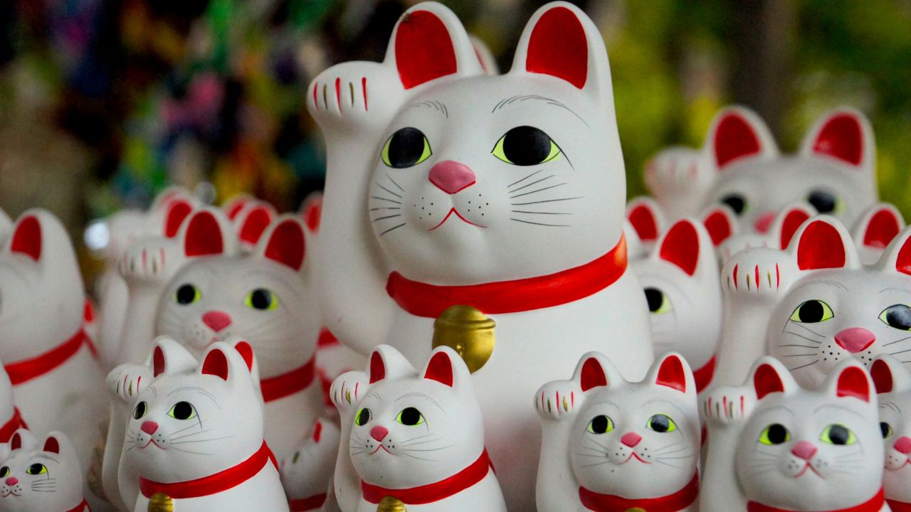 Keleti szerencse macska