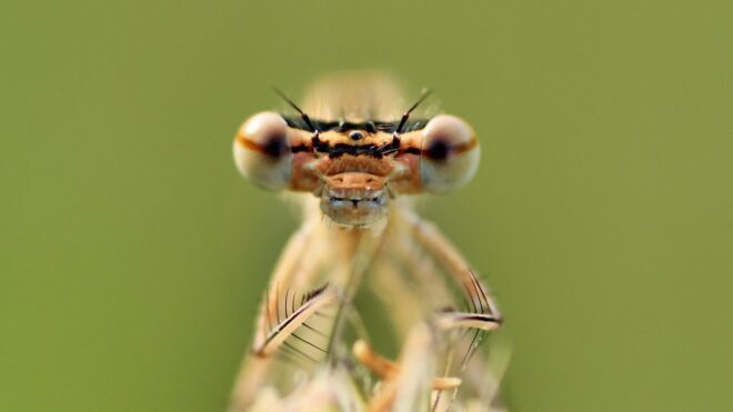 Vízzel és érmékkel megtöltött műanyag zacskót akasztott az ablakába – elképesztő dolog történt