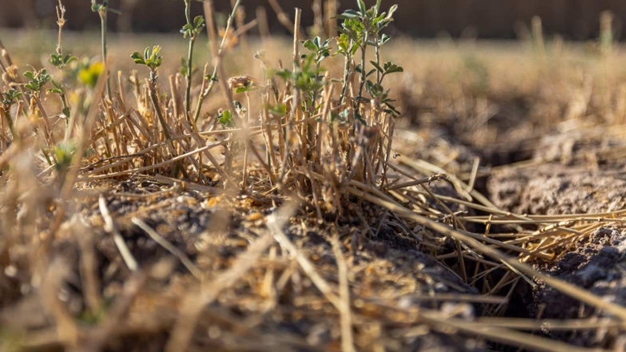 szárazság, fotó: Getty Images