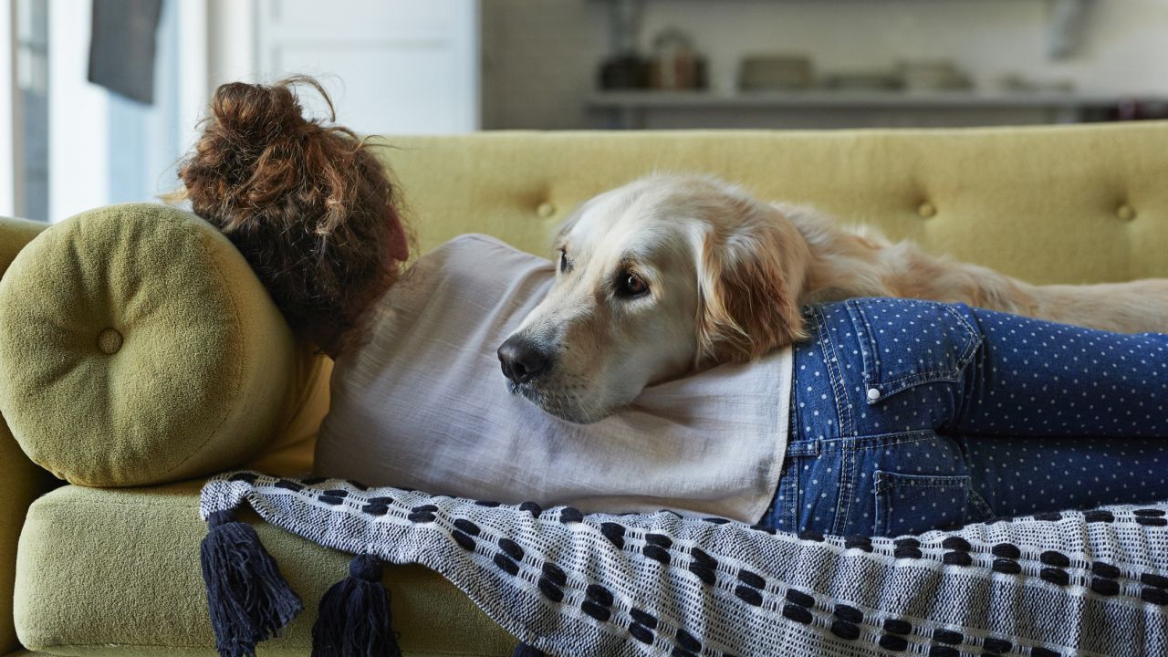 Nő fekszik kanapén, kutyával