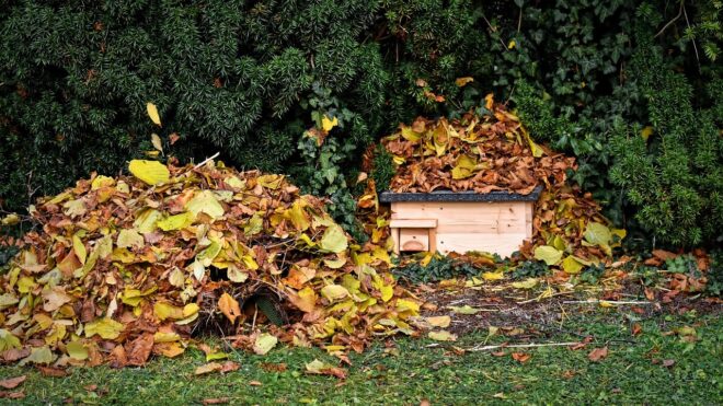 Ezért ne dobd a faleveleket a kerti komposztba!