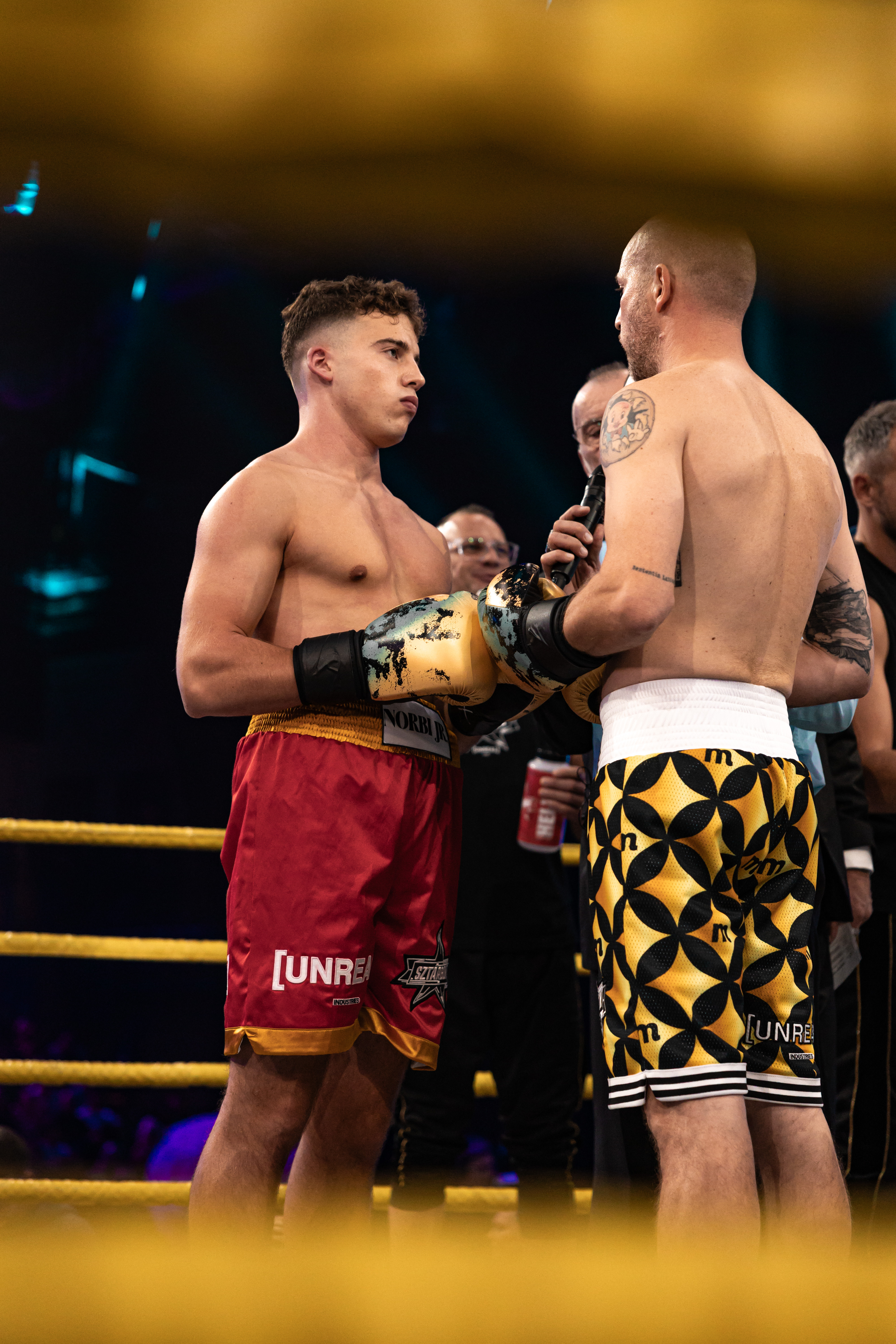 schobert norbi jr boksz