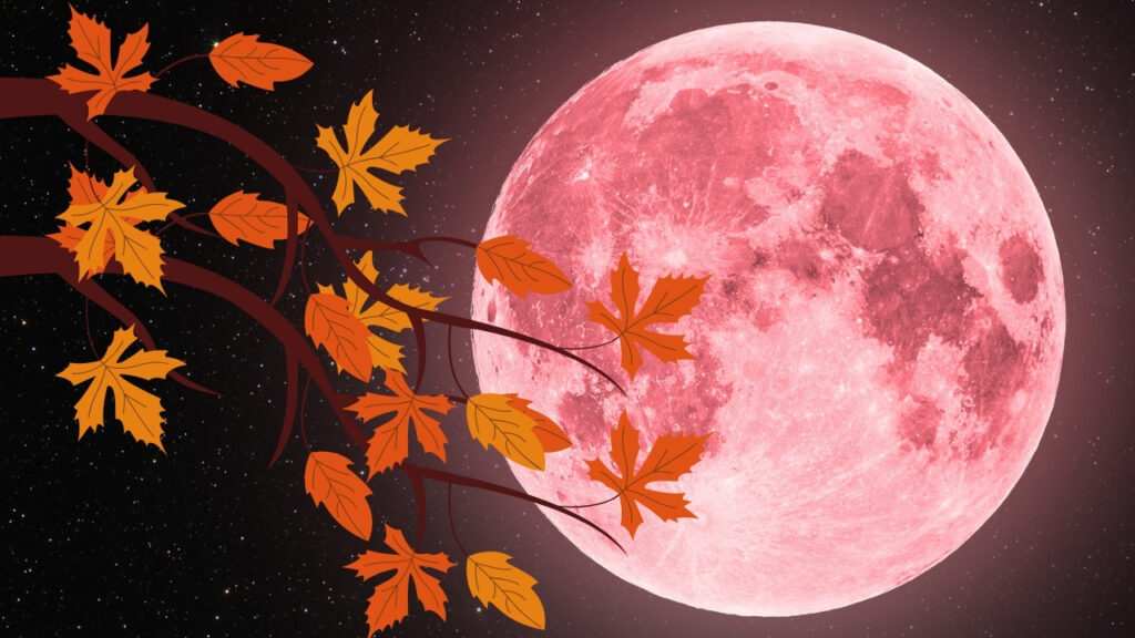 Így hat a csillagjegyedre a szeptemberi telihold - Ez bizony felkavarja az állóvizet!