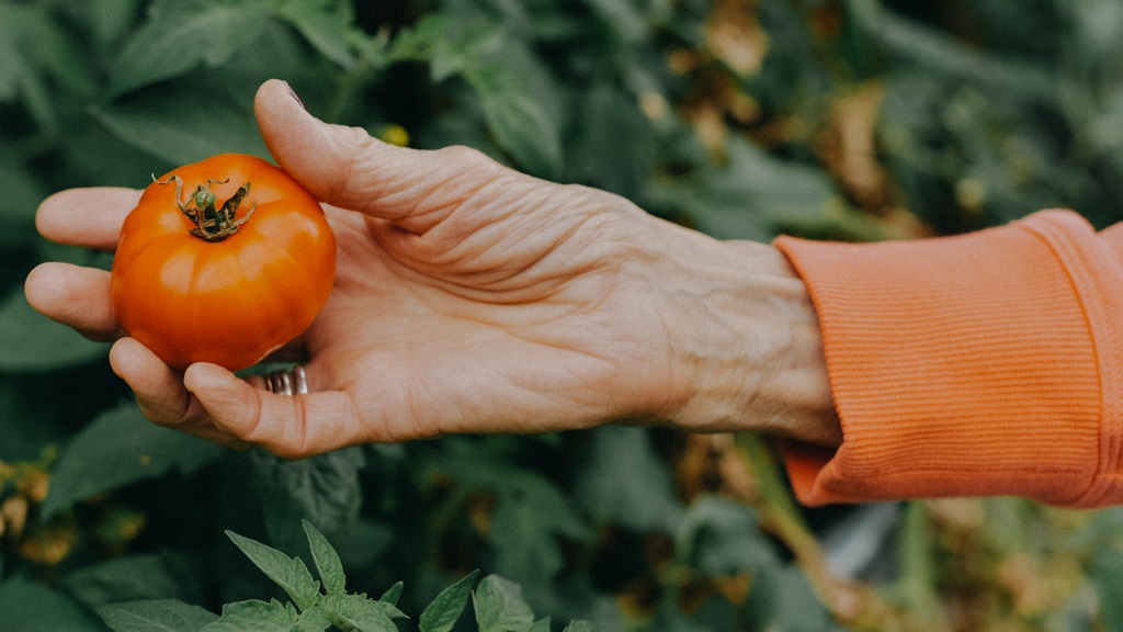 Fotó: Getty Images - Stefania Pelfini la Waziya