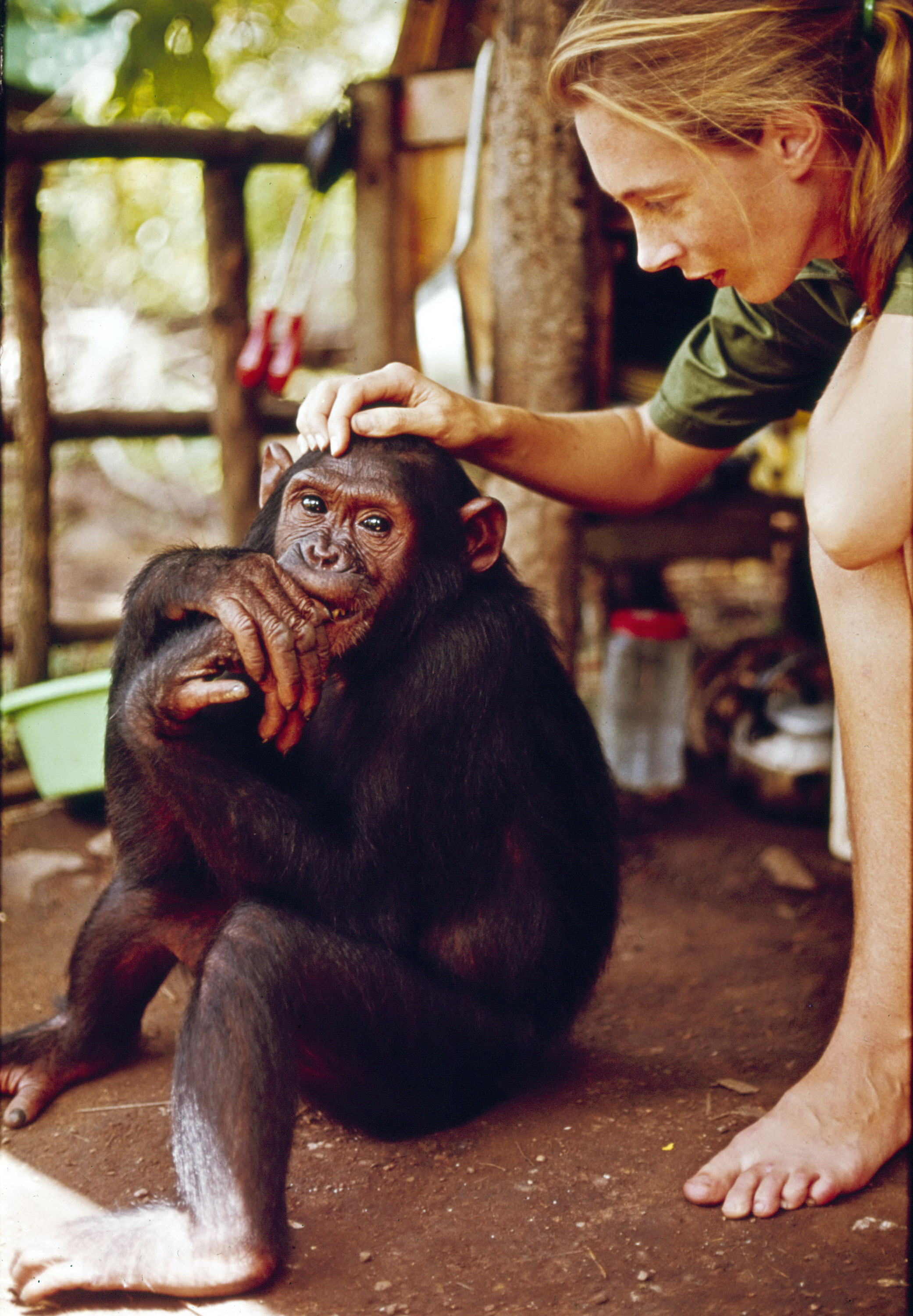 Jane Goodall