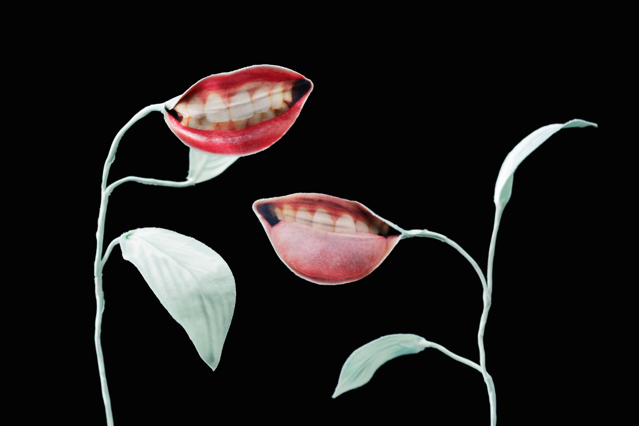 humorérzék, GettyImage