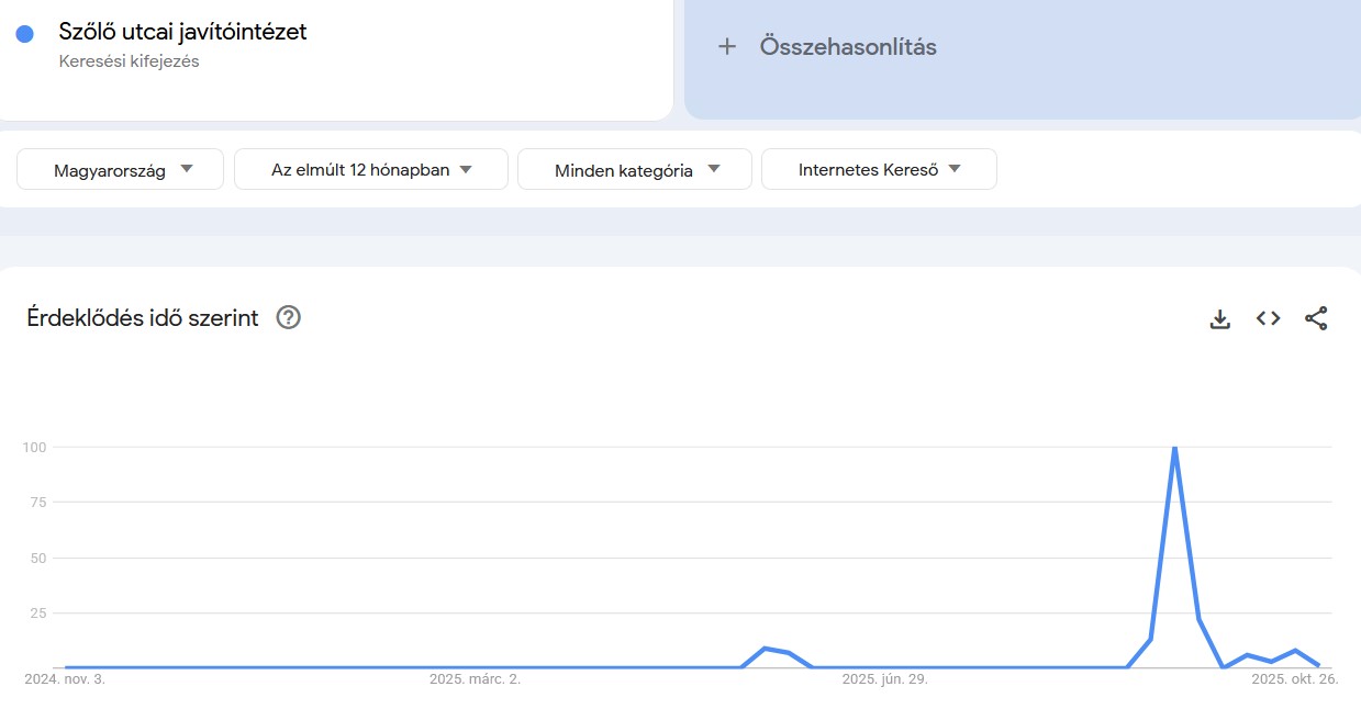 Google Trends Szőlő utcai javítóintézet