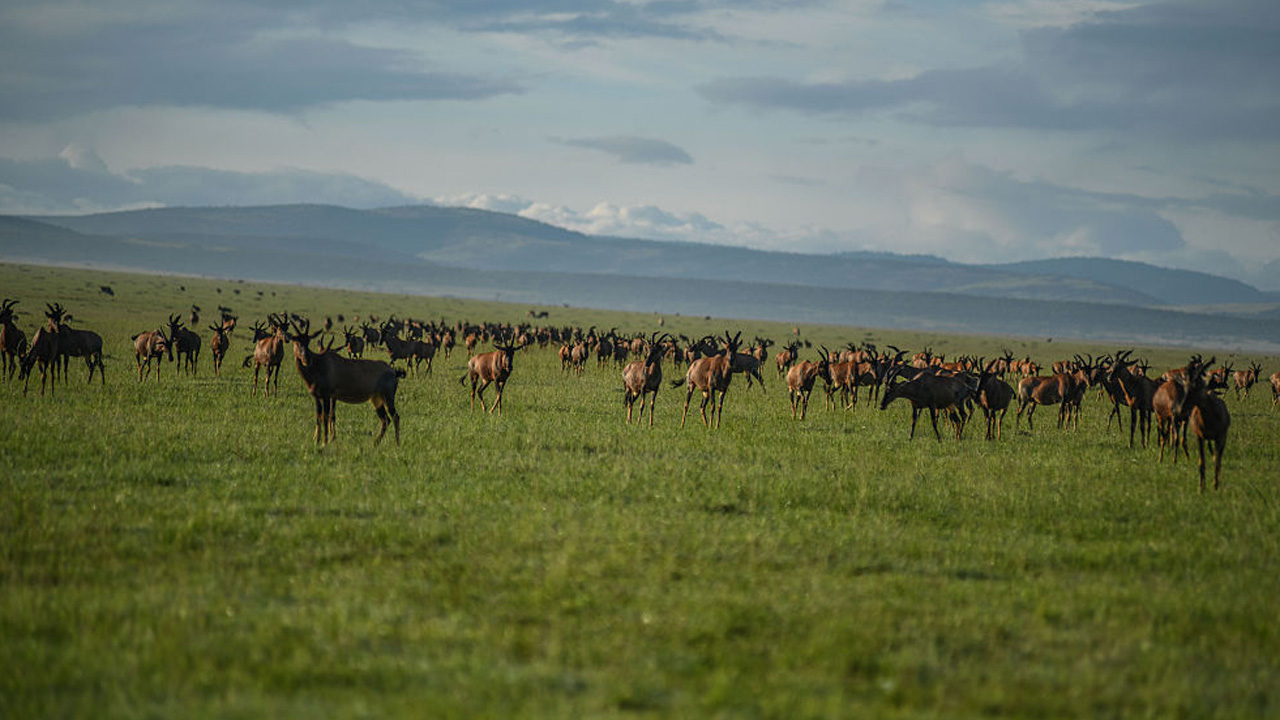 Magyar turistákkal teli kisrepülő zuhant le Kenyában