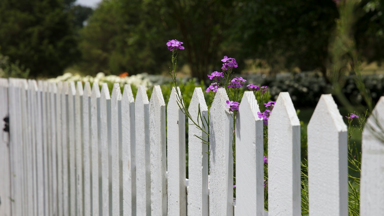 Fehér fa kerítés