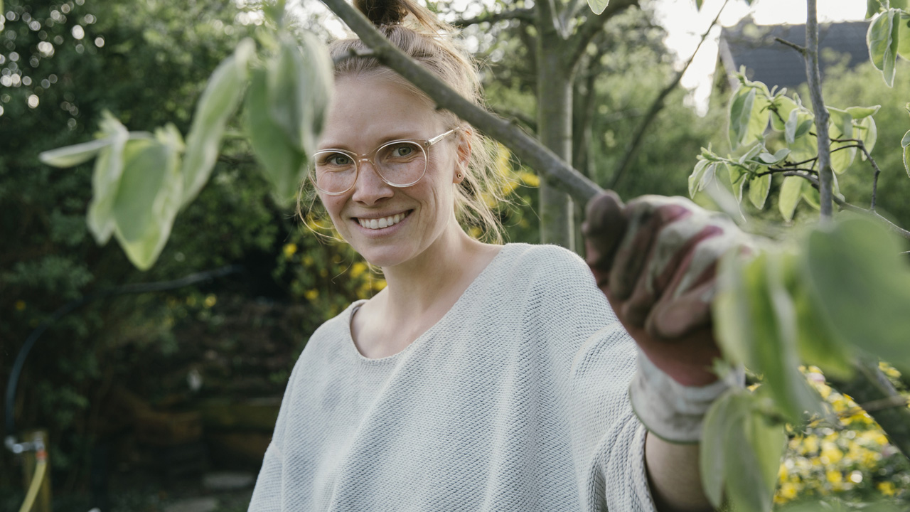 Elárulta a kertész: ez a gyümölcsfa nő a leggyorsabban