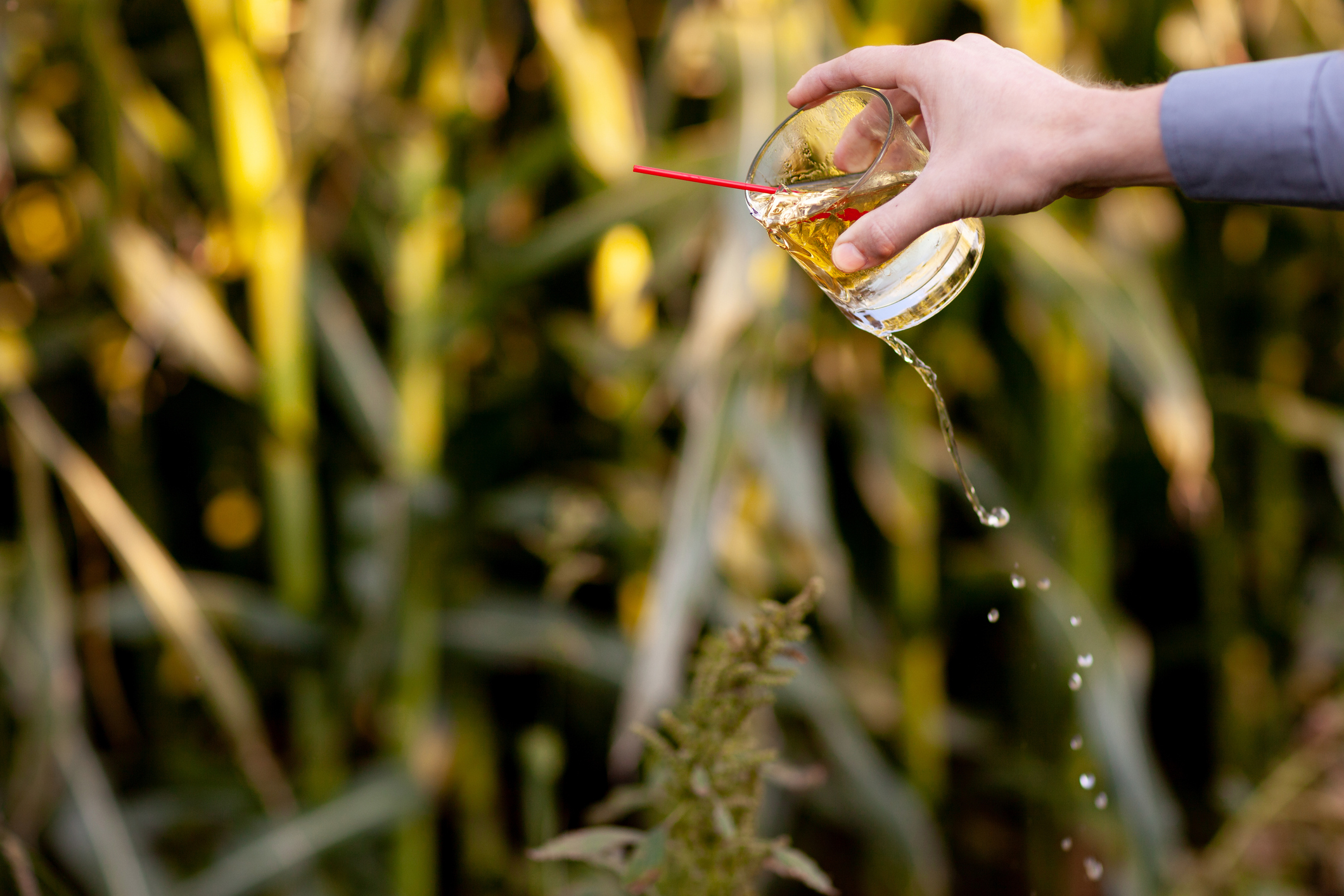 lemondás a szeszről, getty images