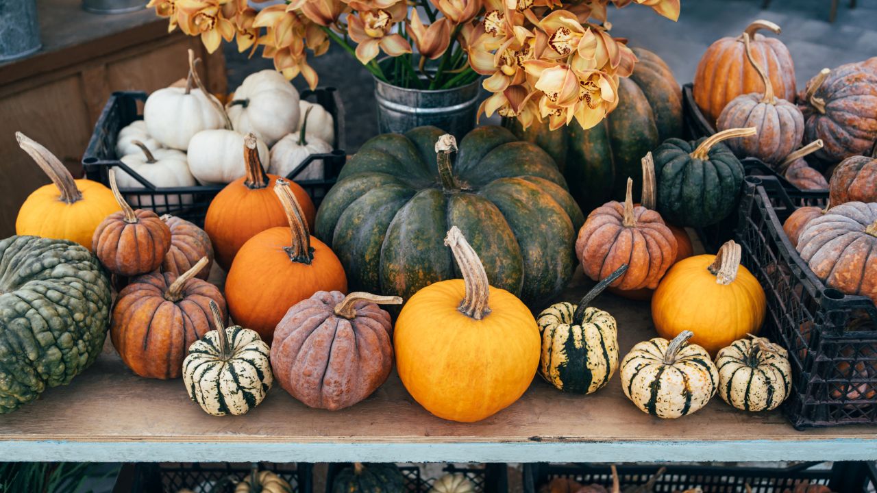 Mit jelez a havi horoszkóp 2025. novemberre?