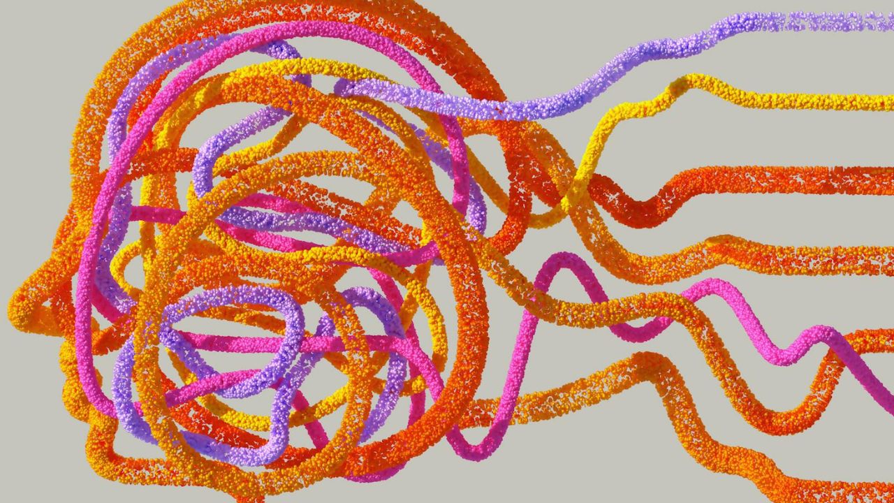 agy frissen tartása, fotó: pexels