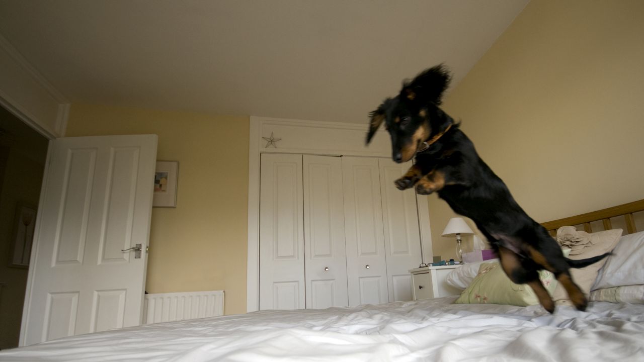 Napi horoszkóp 2025. 11. 04.: Tágul a világ, de ne ugorj fejest!