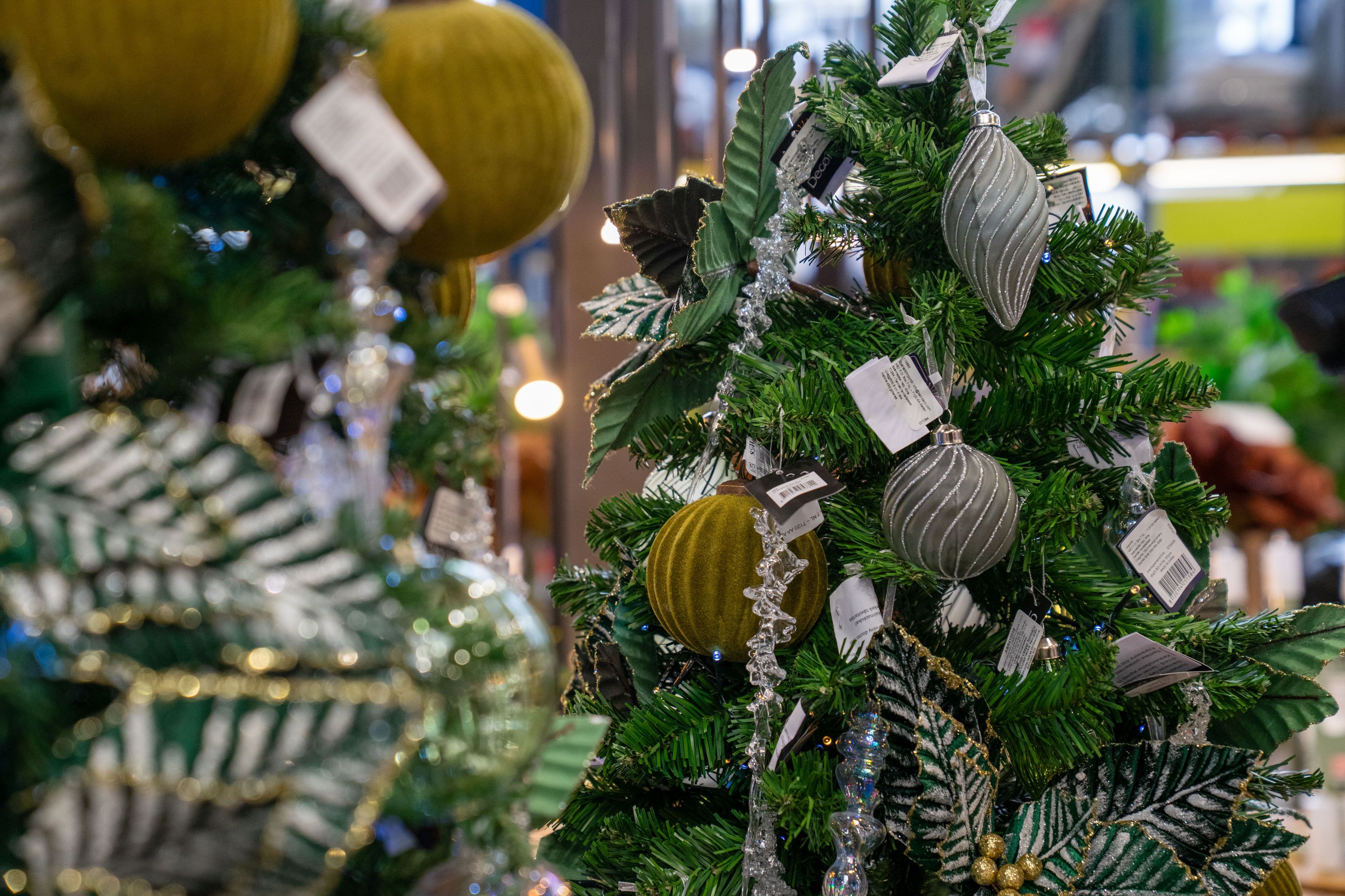 A fenyő az ünnep lelke. Fotó: Kovács Eszter