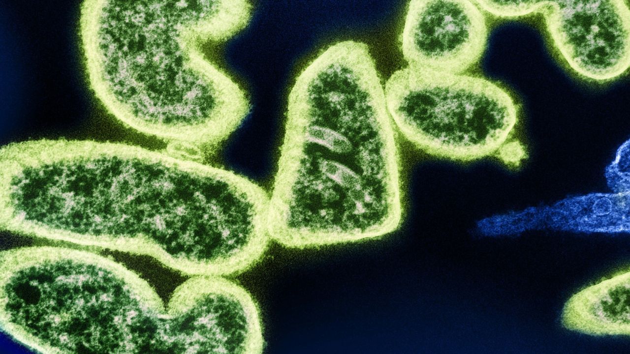 Székletbotrányba keveredett a magyarok kedvelt üdülőhelye