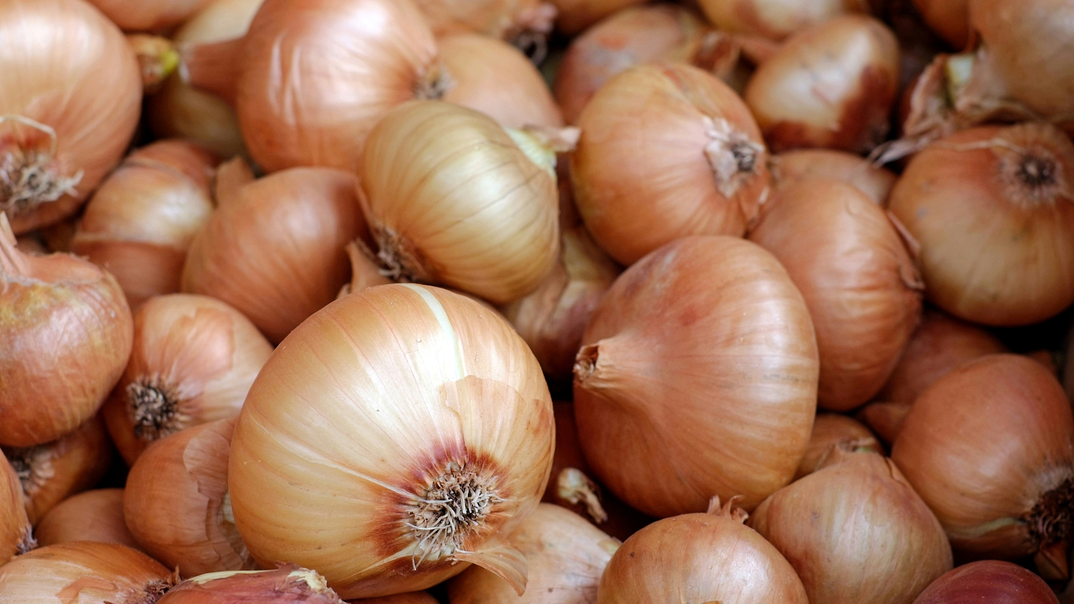 A hagyma akár 6 hónapig is friss marad, ha ezt az egy zöldséget távol tartod tőle