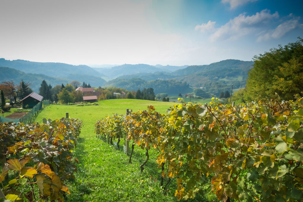 Mostantól nagyon máshogy fogunk autózni az Adriára
