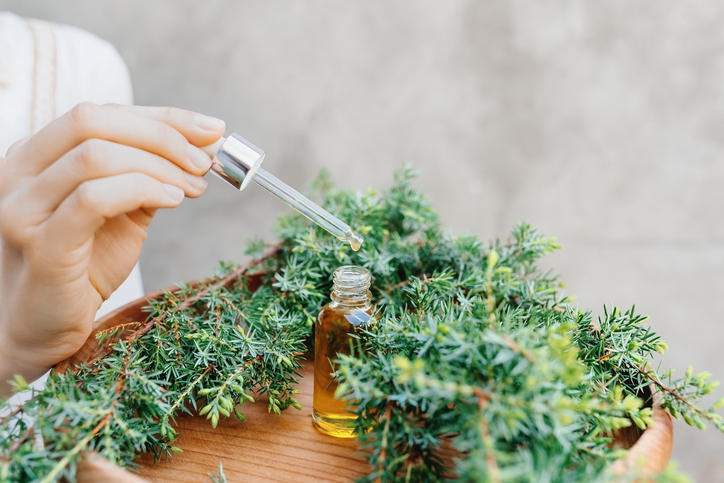 Illóolaj fenyőágakkal