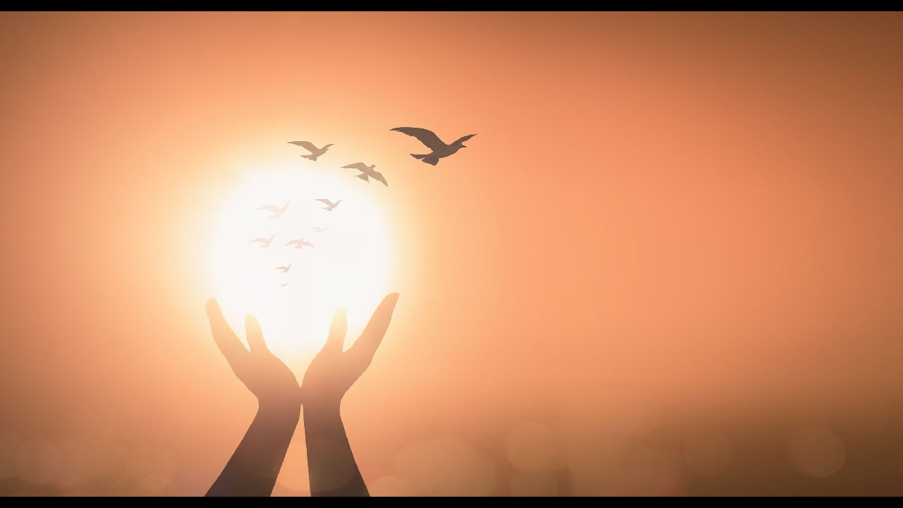 Napi horoszkóp 2025. 11. 01.: Lélekfény és belső béke: Mindenszentek napi horoszkóp