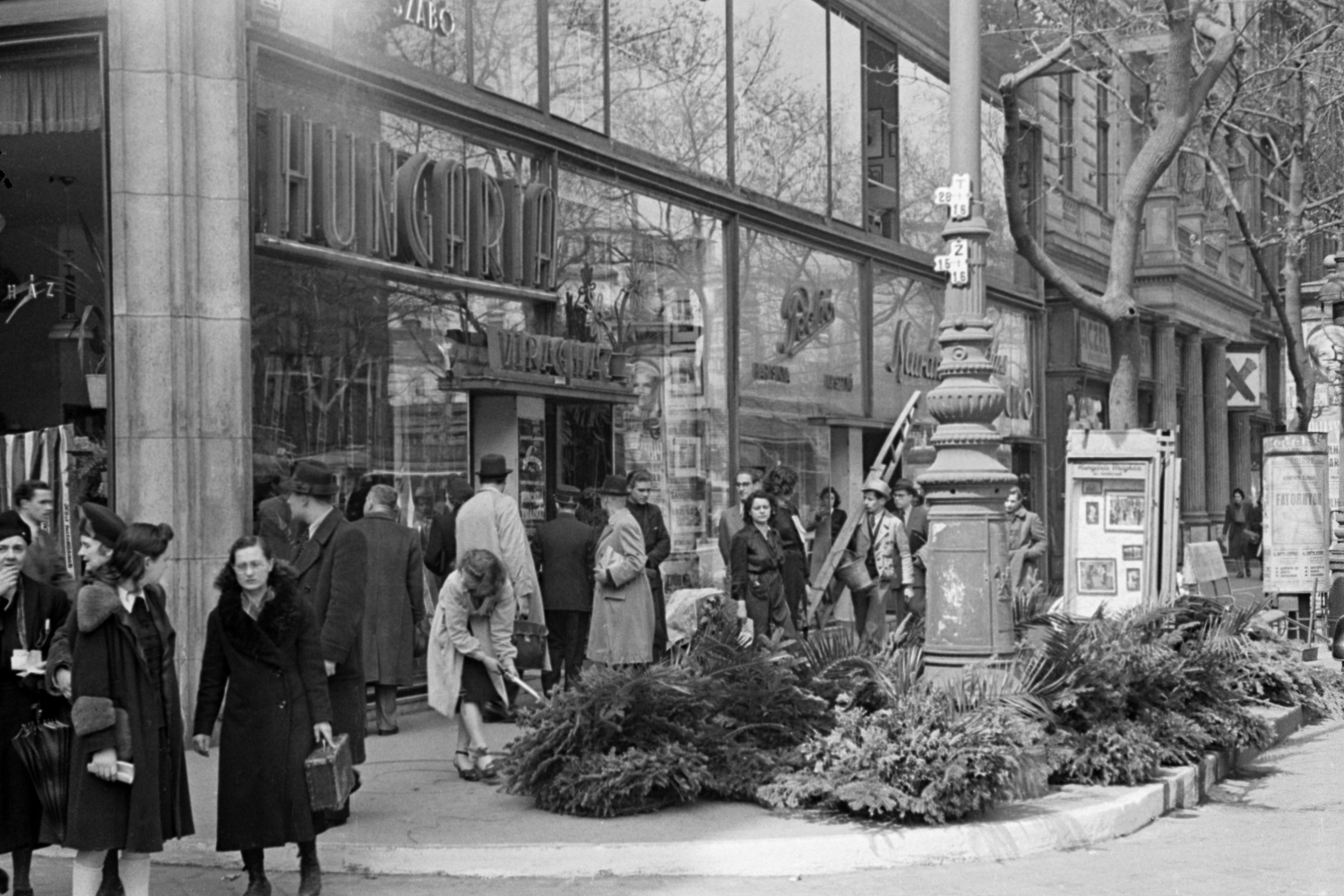 Karácsonyfavásár Múzeum körúti Hungária Virágház előtt, 1939-ben (Fotó: Fortepan / Bojár Sándor)
