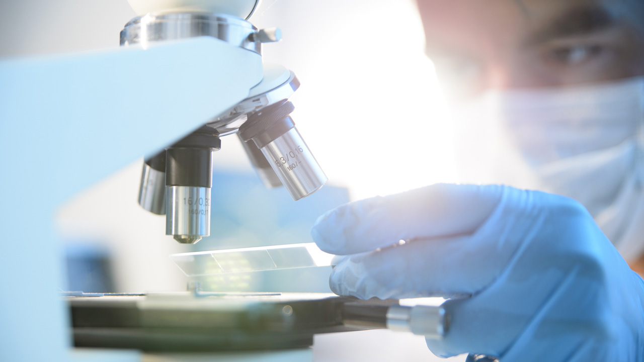 Durva járvány terjed Magyarország határában