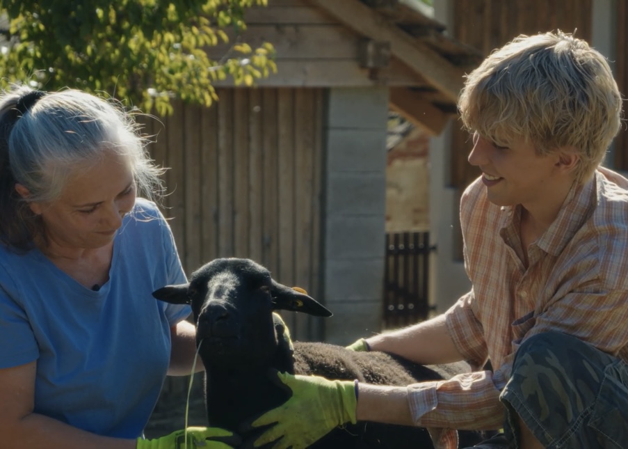 whisperton báránya