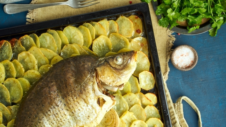 „Kapj rá!” a halra – egészség, íz és tudatosság egy tányéron