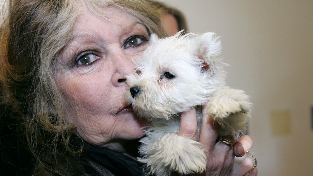 Brigitte Bardot utolsó posztja is az állatokról szólt: egy nappal a halála előtt még gazdát keresett egy mentett kutyának