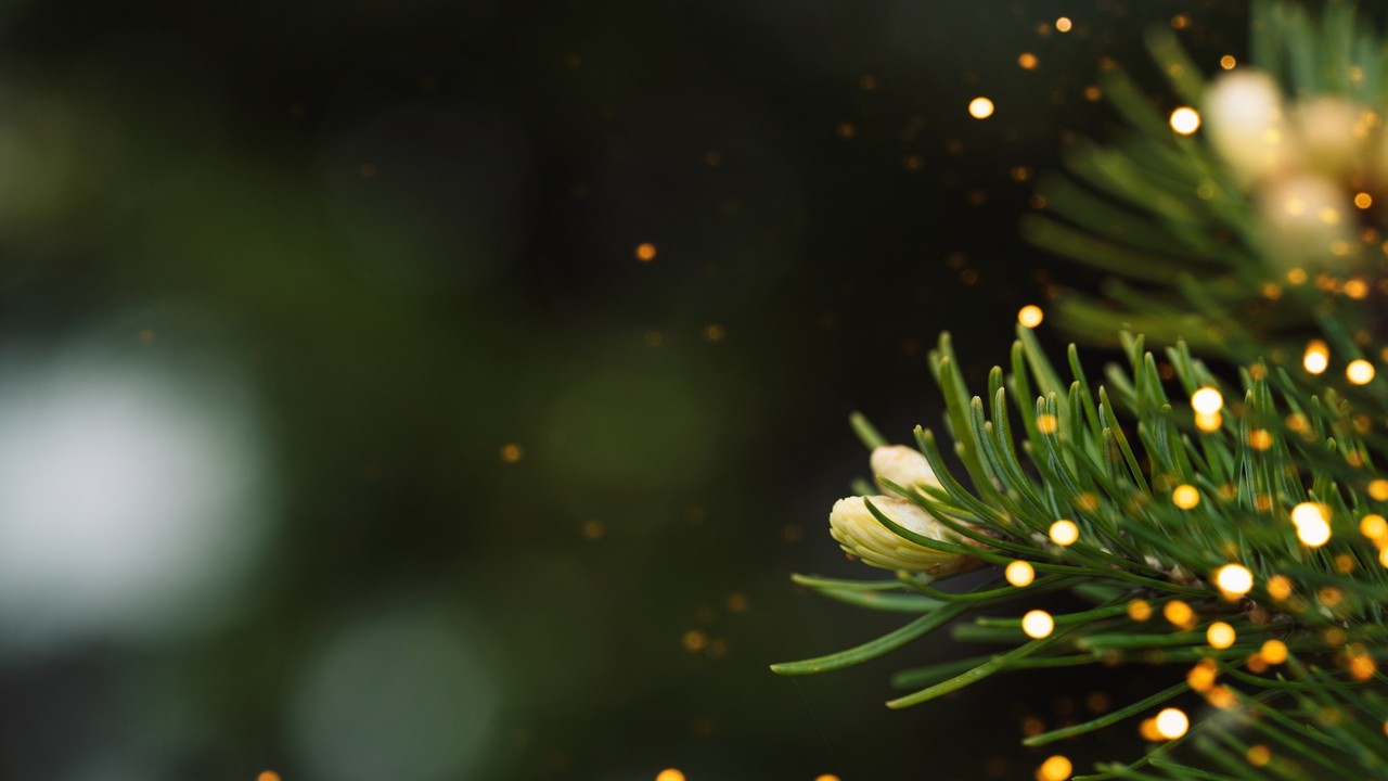 Ezek a csillagjegyek kihozzák a maximumot az év végi nagy hajrából