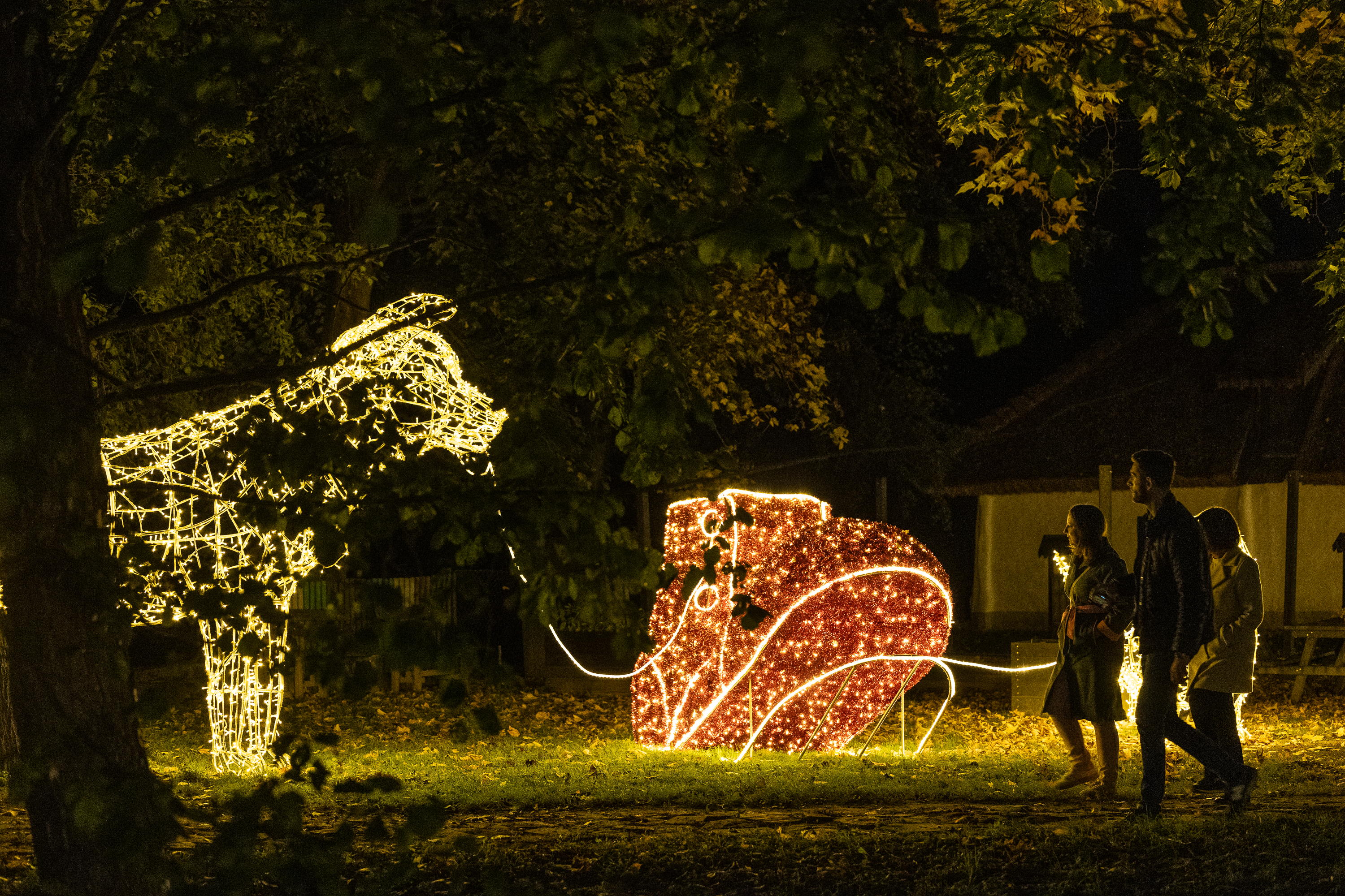 Fényinstalláció Magyarországon karácsonykor