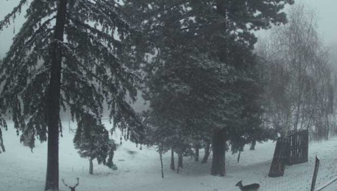 Ez a két magyar város örülhet: itt már fehér a karácsony