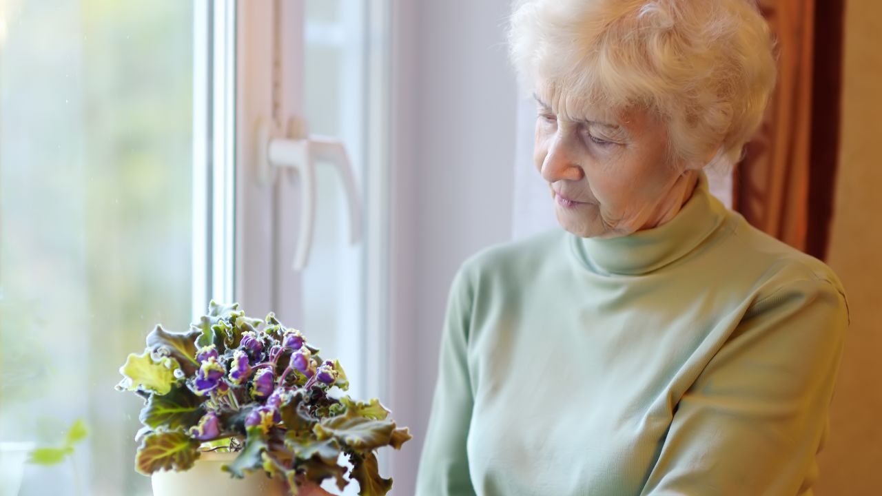 Hölgy egy cserép virággal