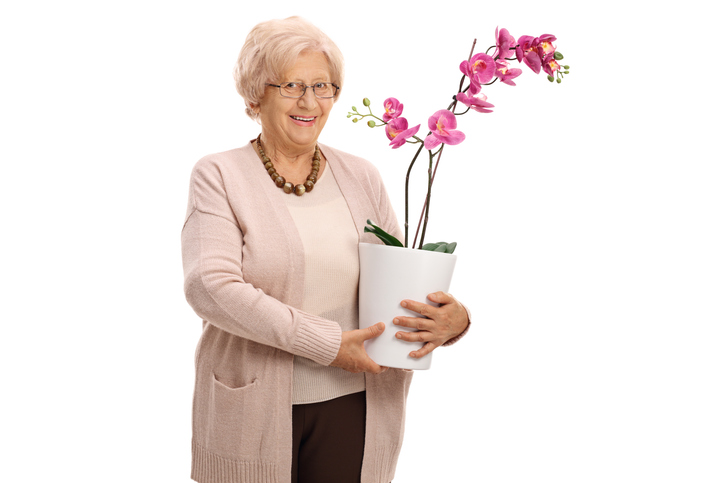 Hölgy orchideás kaspót tart