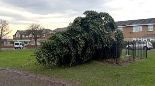 A díszkivilágítás felkapcsolása után egyből kivágta valaki a falu karácsonyfáját
