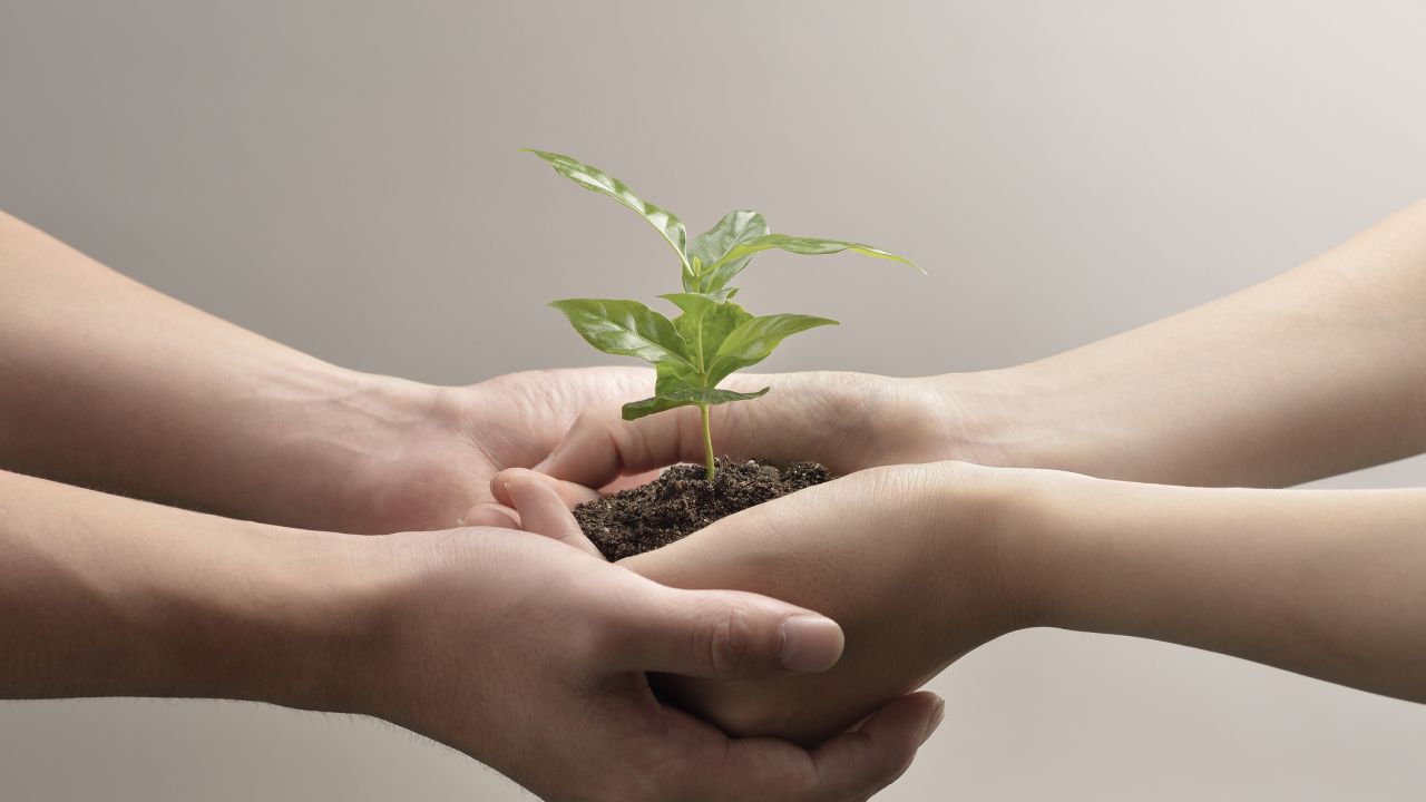 Napi horoszkóp 2025. 12. 02.: Stabilizáló kedd