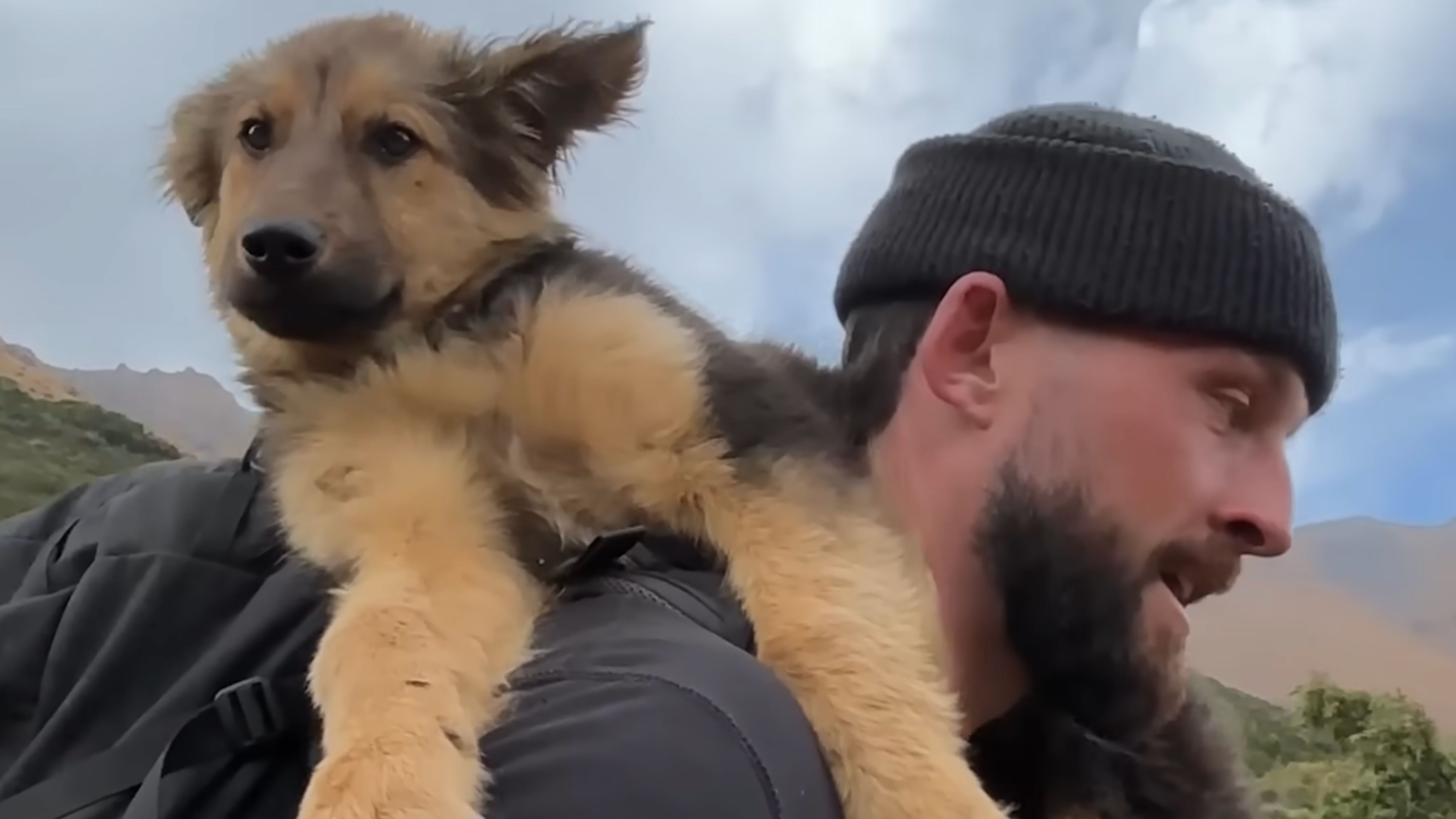 kutya a hegyen, yt screenshot