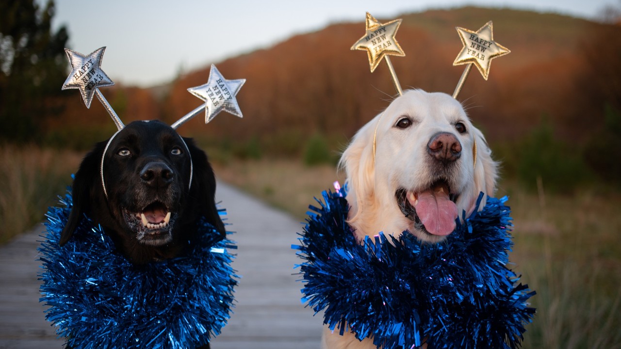 Ez a 3 csillagjegy óriási lelki megkönnyebbülést él át a következő hetekben