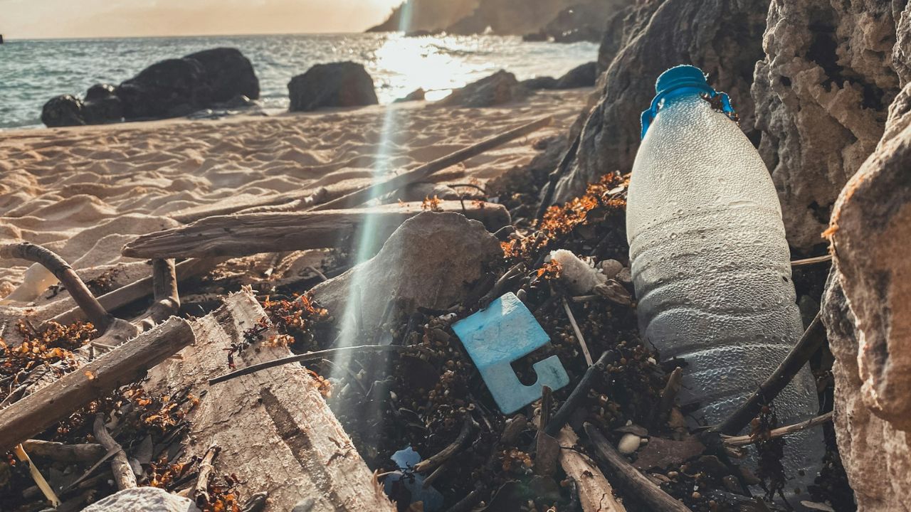 mikroműanyag tengerparton palack, fotó: unsplash