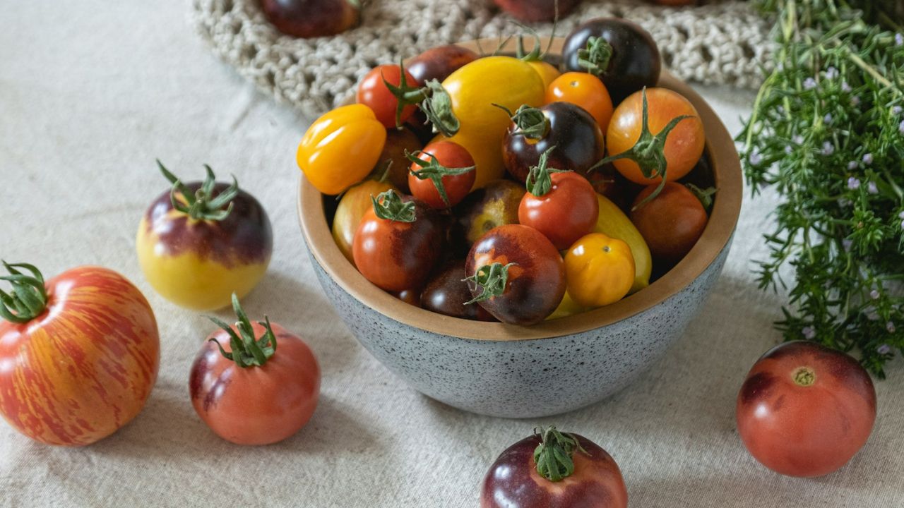 paradicsom, fotó: Unsplash