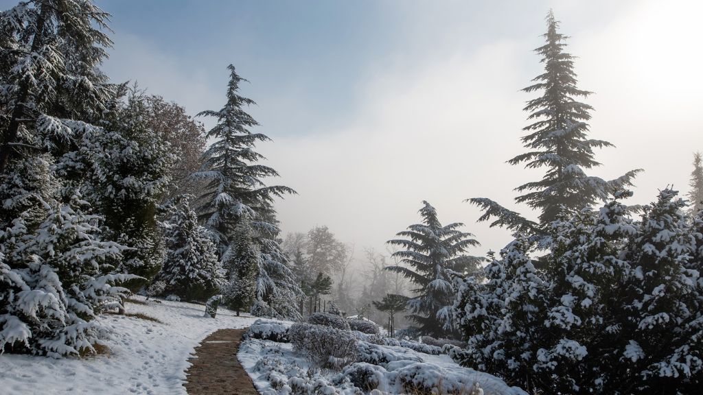 Csend és nyugalom télen a Folly Arborétumban